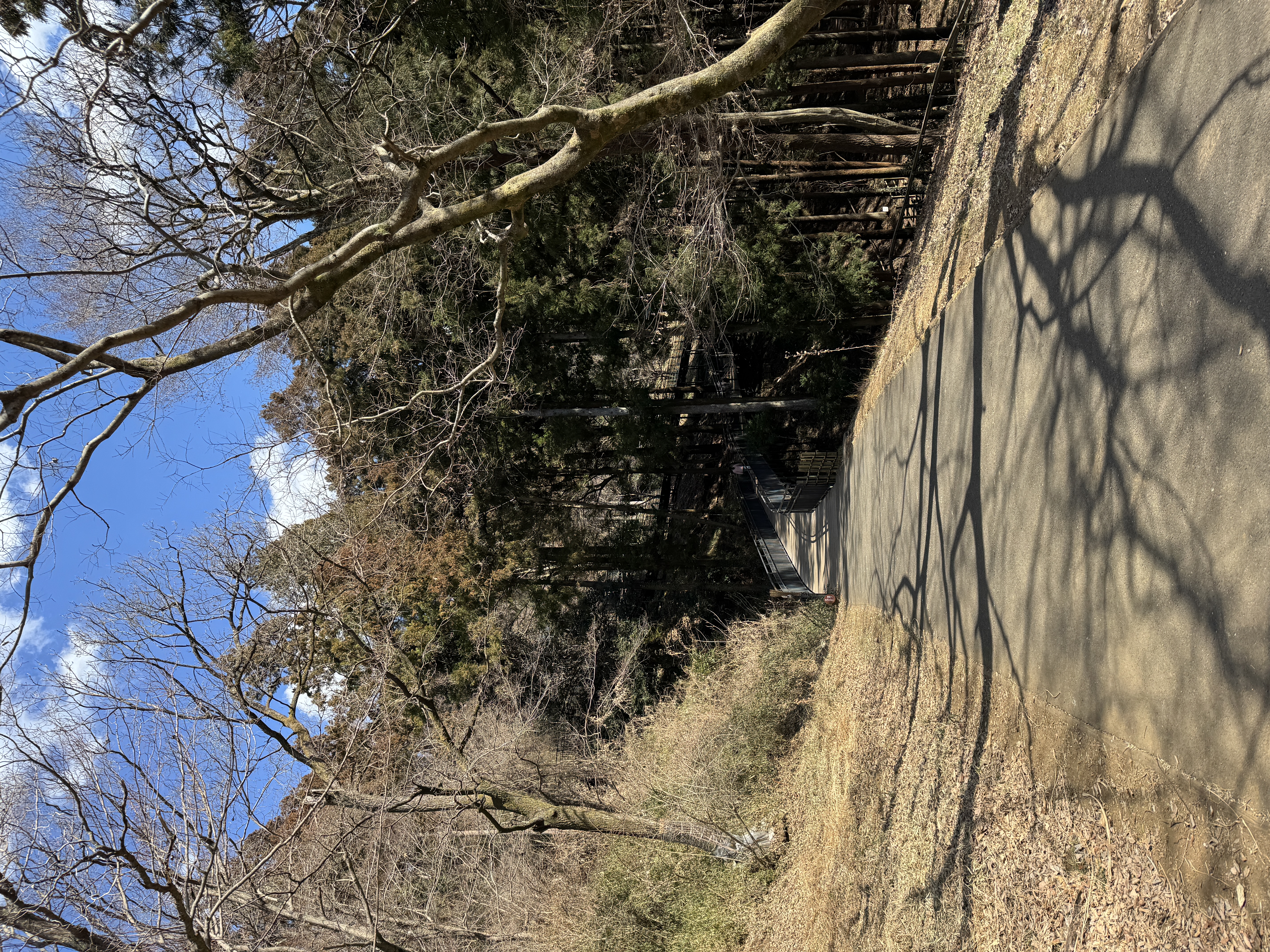 登山開始