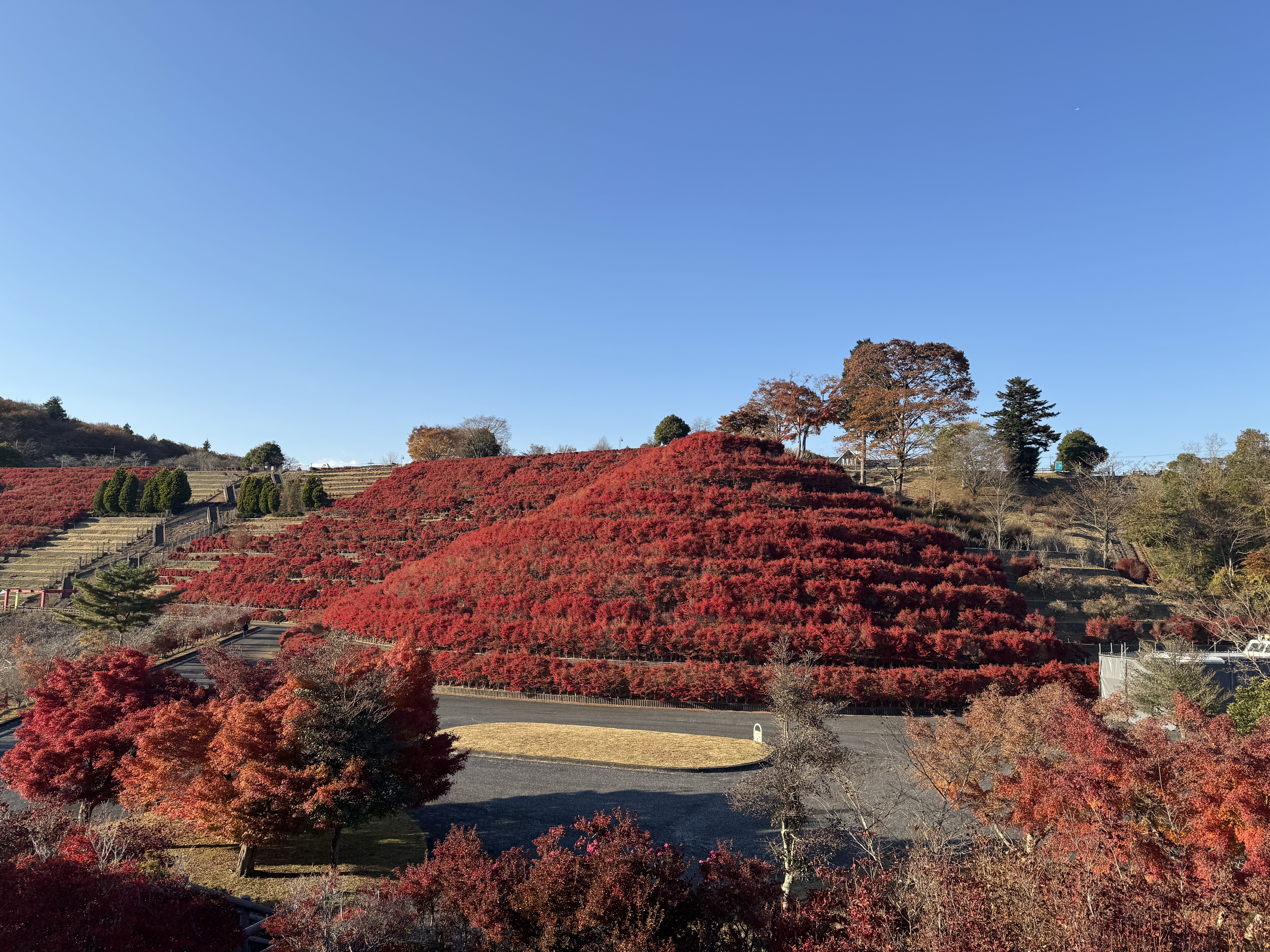 遠くに見える虹の大橋