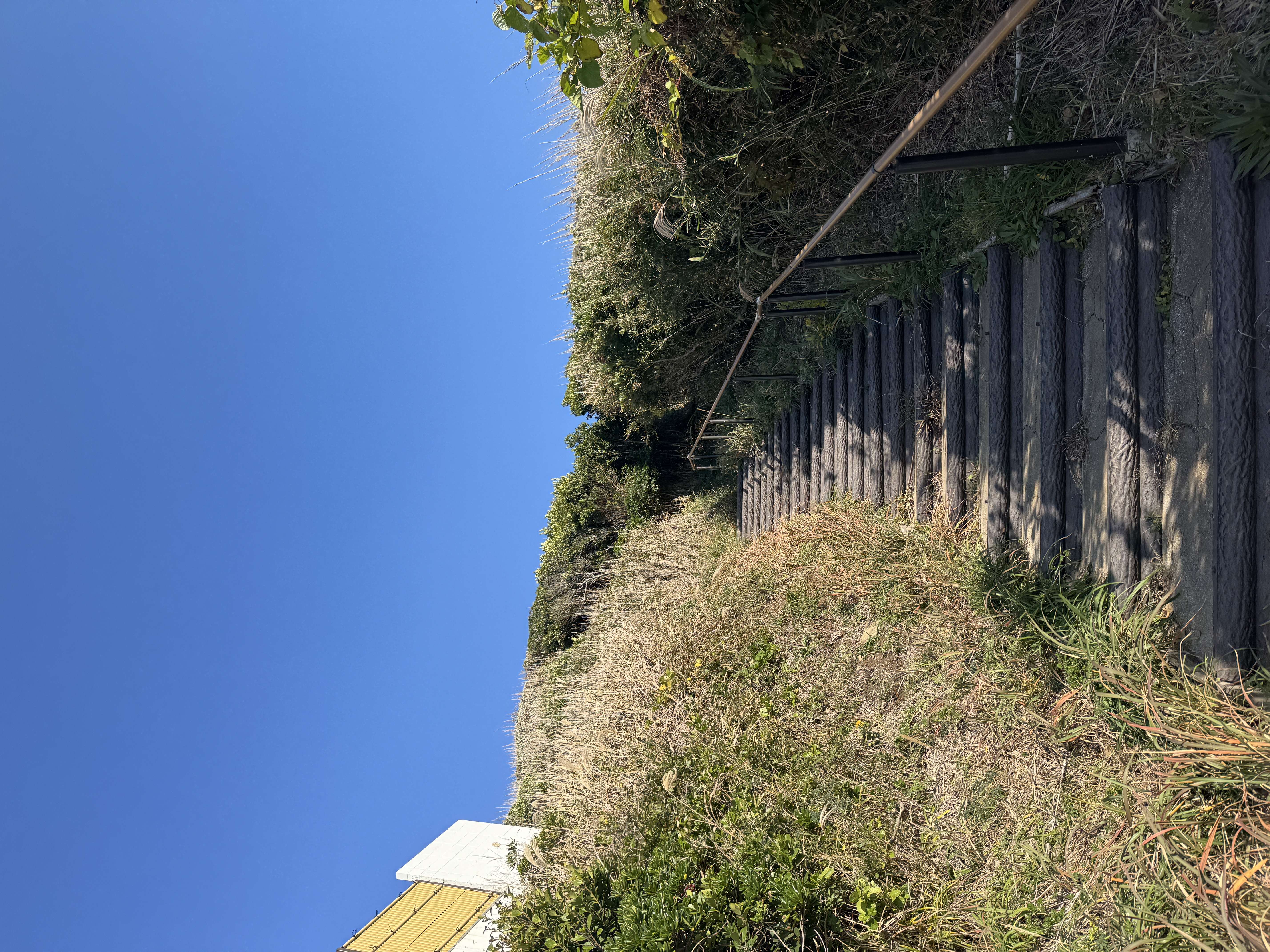 ハイキングコースへ