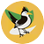 w477 Blog Icon
